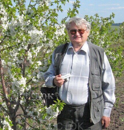 Магазин Фирмы Росток В Волоконовке Магазин Фирмы Росток В Волоконовке