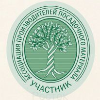 Магазин Фирмы Росток В Волоконовке Магазин Фирмы Росток В Волоконовке